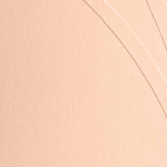 SilhouetteBrief-Fabric-Blush.jpg