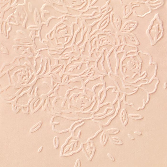 SilhouetteRBrief-Fabric-Blush.jpg